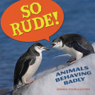 book cover for So Rude!
