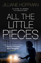 book cover for All the Little Pieces