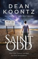 book cover for Saint Odd