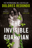 book cover for The Invisible Guardian