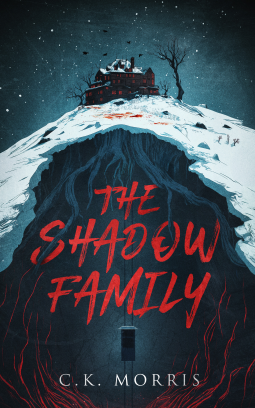 book cover for The Shadow Family