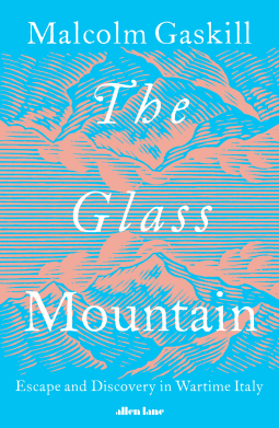 book cover for The Glass Mountain