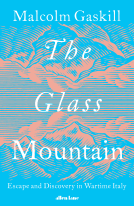 book cover for The Glass Mountain
