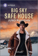 book cover for Big Sky Safe House