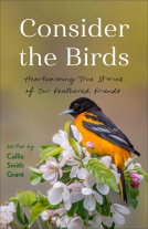 book cover for Consider the Birds