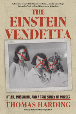 book cover for The Einstein Vendetta