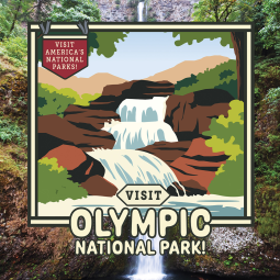 book cover for Visit Olympic National Park!
