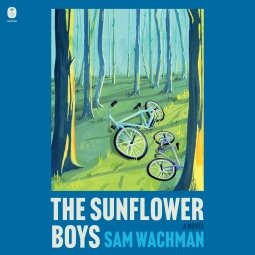 book cover for The Sunflower Boys