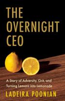 book cover for The Overnight CEO