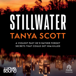 book cover for Stillwater