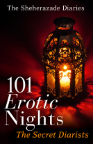 book cover for 101 Erotic Nights