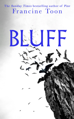book cover for Bluff