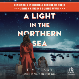 book cover for A Light in the Northern Sea