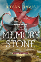 book cover for The Memory Stone