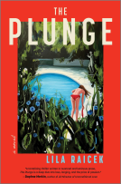 book cover for The Plunge