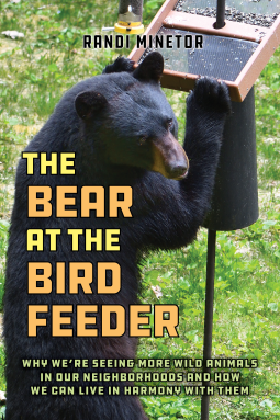 book cover for The Bear at the Bird Feeder