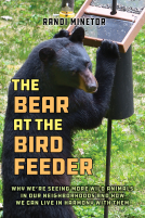 book cover for The Bear at the Bird Feeder