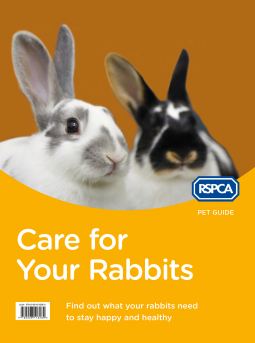 book cover for Care for Your Rabbits