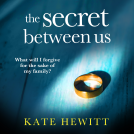 book cover for The Secret Between Us