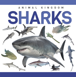 book cover for Sharks