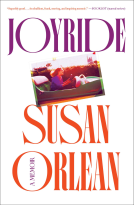 book cover for Joyride