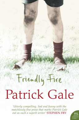 book cover for Friendly Fire