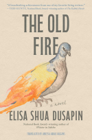 book cover for The Old Fire