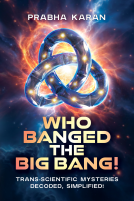 book cover for Who Banged The Big Bang!