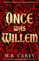 book cover for Once Was Willem