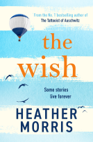 book cover for The Wish