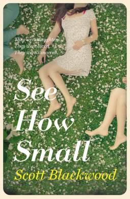 book cover for See How Small