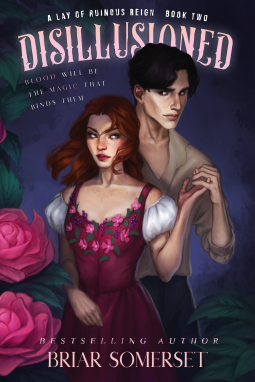 book cover for Disillusioned
