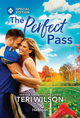 book cover for The Perfect Pass
