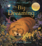 Cover Image: The Big Dreaming