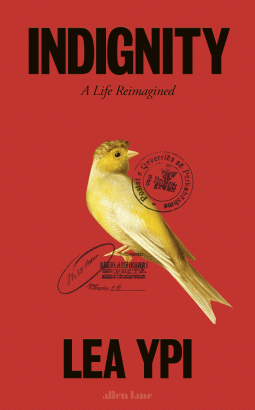 book cover for Indignity