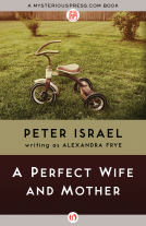 book cover for A Perfect Wife and Mother