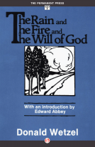 book cover for The Rain and the Fire and the Will of God