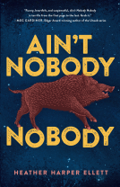 book cover for Ain't Nobody, Nobody