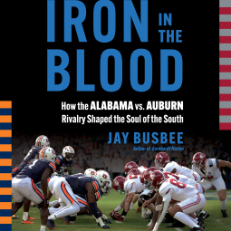 book cover for Iron in the Blood