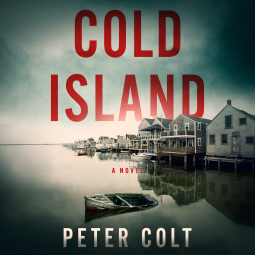 book cover for Cold Island