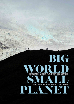 book cover for Big World, Small Planet