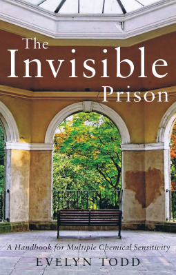 book cover for The Invisible Prison