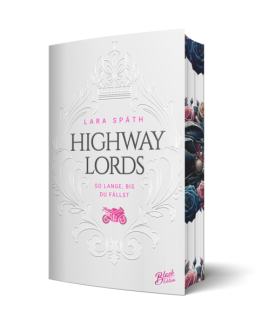 Buchcover für Highway Lords: So lange, bis du fällst
