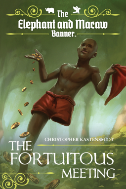 book cover for The Fortuitous Meeting