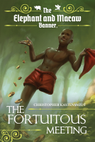 book cover for The Fortuitous Meeting 