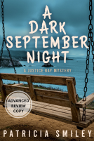 book cover for A Dark September Night