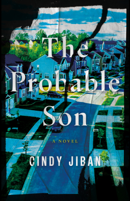 book cover for The Probable Son