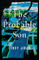 book cover for The Probable Son