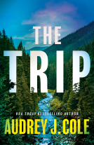 book cover for The Trip