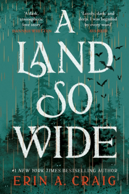 book cover for A Land So Wide